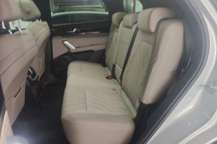 Used BYD Tang New Energy 2024 DM-p Champion Edition 215 km All-Wheel-Drive Flagship Model Left Rear Seat