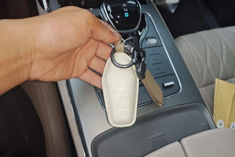 Used BYD Tang New Energy 2024 DM-i Glory Edition 112KM Prestige Model Vehicle Key