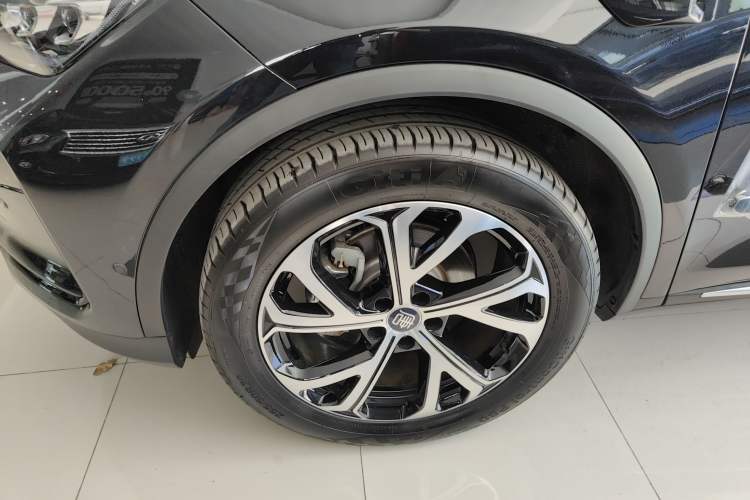 Used BYD Tang New Energy 2025 Intelligent Driving Version DM-i 115KM Flagship Edition Exterior 2