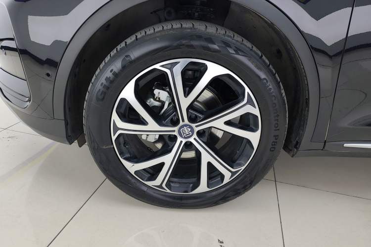 Used BYD Tang New Energy 2025 Intelligent Driving Version DM-i 115KM Flagship Edition Exterior 4