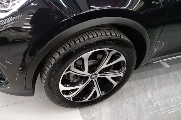 Used BYD Tang New Energy 2025 Intelligent Driving Version DM-i 115KM Flagship Edition Exterior 4