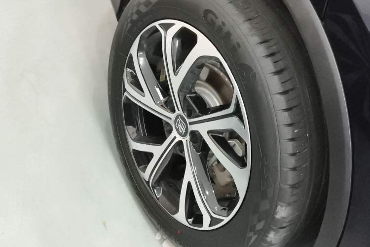 Used BYD Tang New Energy 2025 Intelligent Driving Version DM-i 115KM Flagship Edition Exterior 5