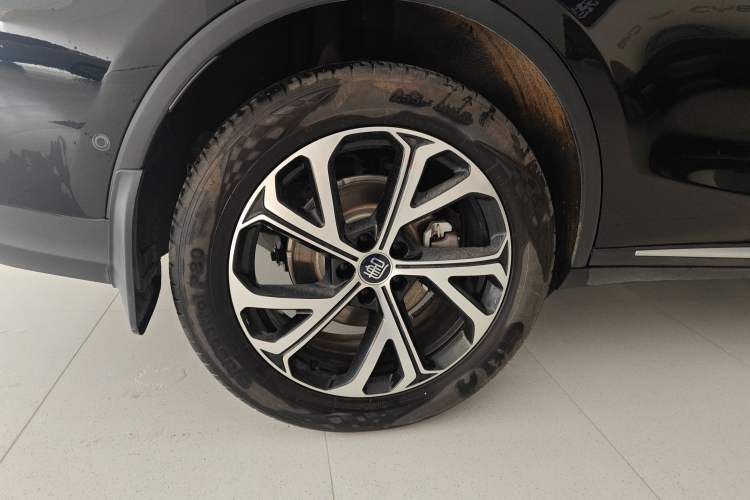 Used BYD Tang New Energy 2025 Intelligent Driving Version DM-i 115KM Flagship Edition Exterior 5