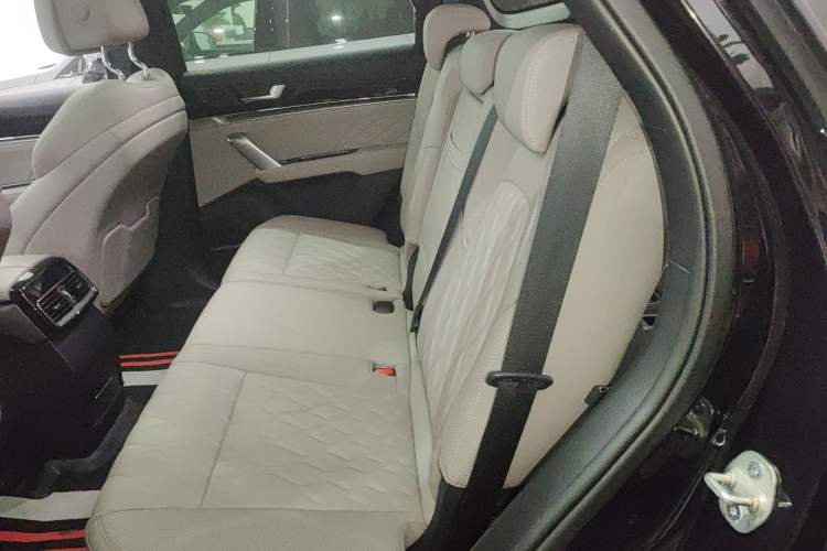 Used BYD Tang New Energy 2025 Intelligent Driving Version DM-i 115KM Flagship Edition Left Rear Seat