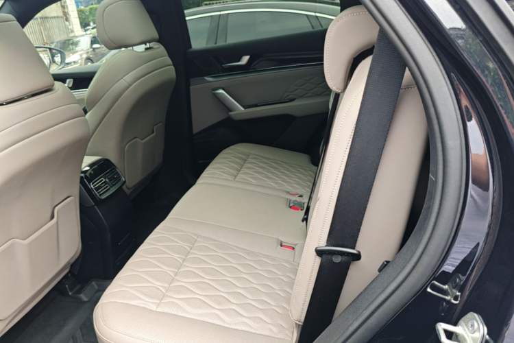 Used BYD Tang New Energy 2025 DM-i 115KM Prestige Model Left Rear Seat