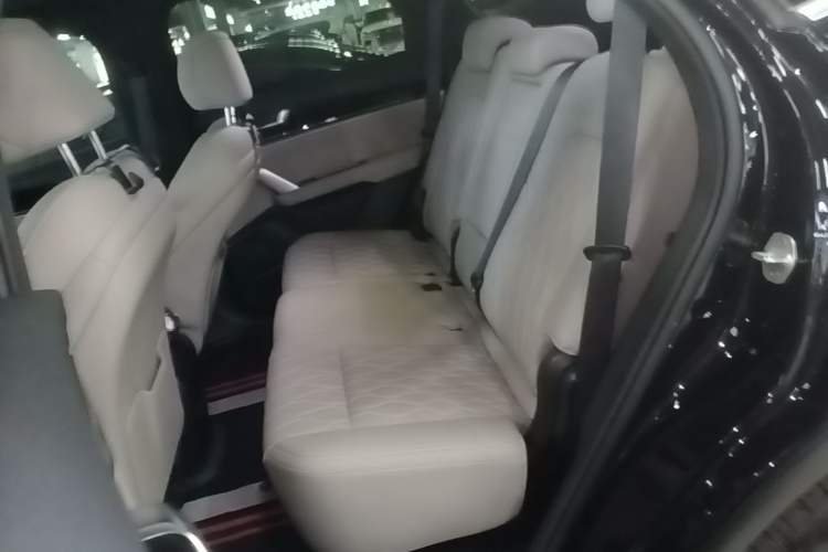 Used BYD Tang New Energy 2025 DM-i 115KM Prestige Model Left Rear Seat