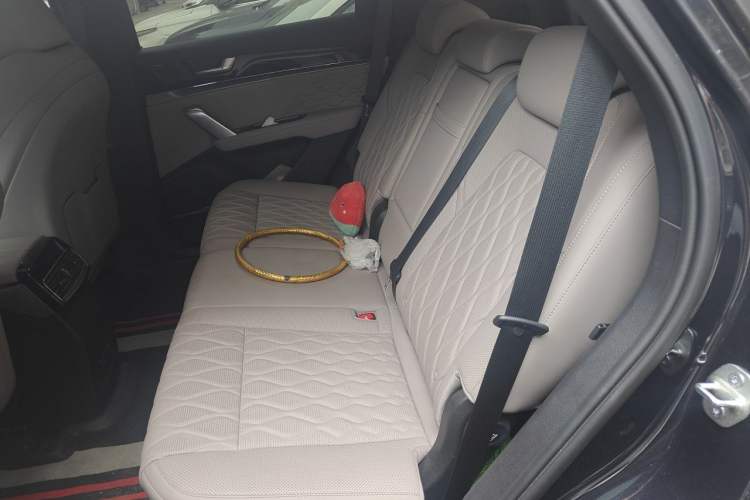 Used BYD Tang New Energy 2025 Intelligent Driving Version DM-i 115KM Prestige Edition Left Rear Seat