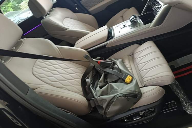 Used BYD Tang New Energy 2025 Intelligent Driving Version DM-i 115KM Flagship Edition Right Front Seat