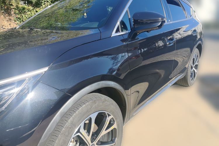 BYD Tang New Energy 2025 DM-i 115KM Prestige Model - Executive