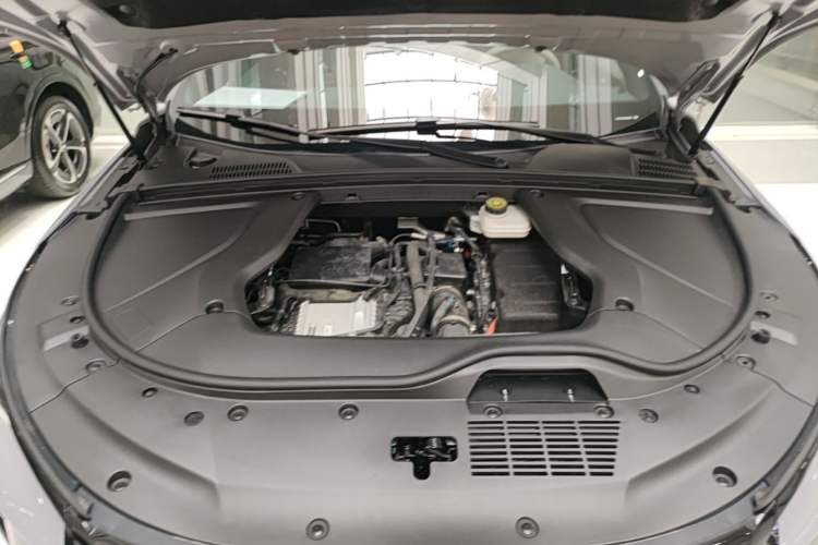 Used BYD Tang New Energy 2025 DM-i 115KM Prestige Model Engine Bay