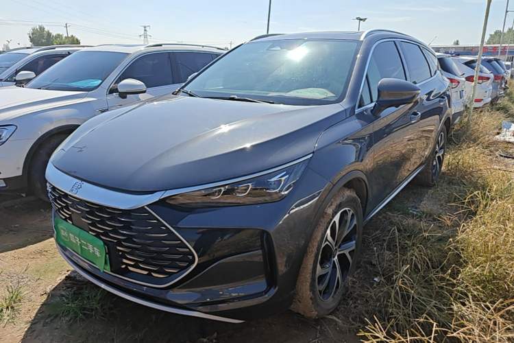 BYD Tang New Energy 2025 DM-i 115KM Prestige Model - Executive