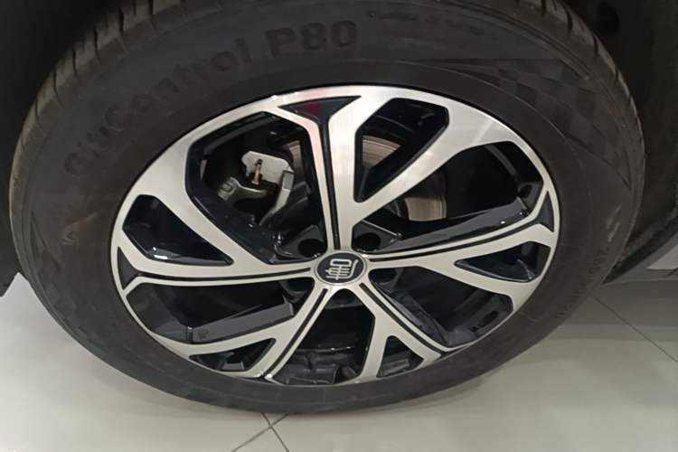 Used BYD Tang New Energy 2025 Intelligent Driving Version DM-i 115KM Flagship Edition Exterior 4