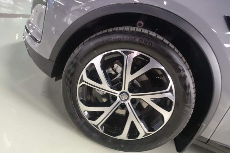 Used BYD Tang New Energy 2025 Intelligent Driving Version DM-i 115KM Prestige Edition Exterior 4