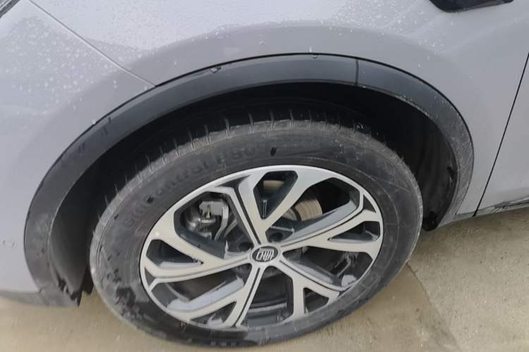 Used BYD Tang New Energy 2025 Intelligent Driving Version DM-i 115KM Flagship Edition Exterior 4
