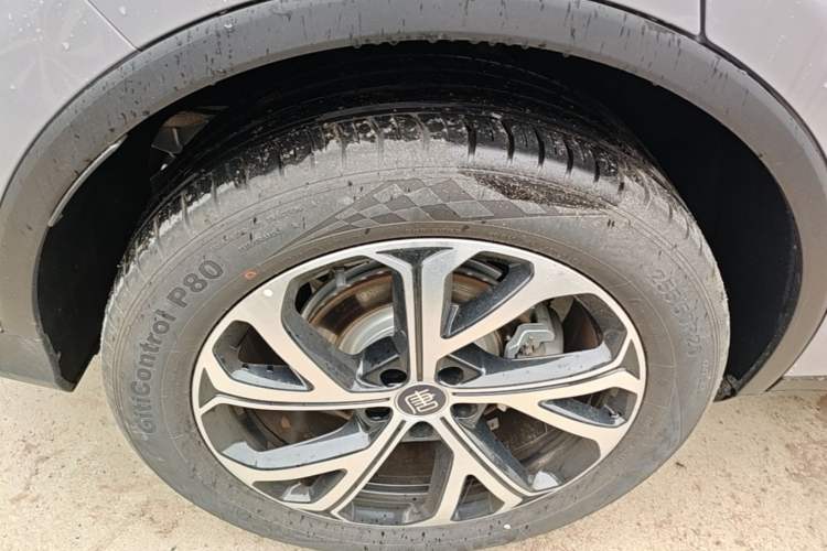 Used BYD Tang New Energy 2025 Intelligent Driving Version DM-i 115KM Flagship Edition Exterior 5