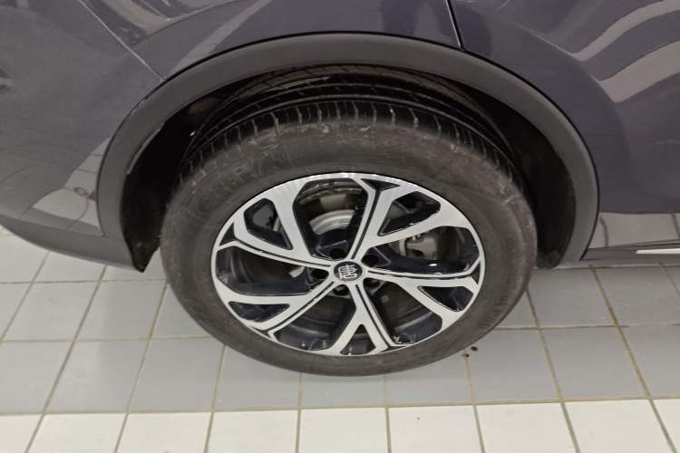 Used BYD Tang New Energy 2025 Intelligent Driving Version DM-i 115KM Flagship Edition Exterior 5