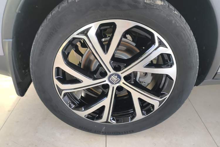 Used BYD Tang New Energy 2025 Intelligent Driving Version DM-i 115KM Prestige Edition Exterior 5