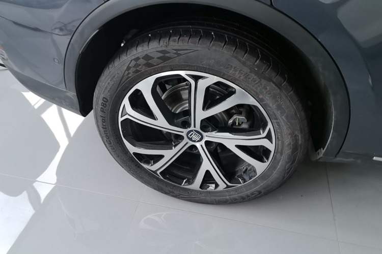 Used BYD Tang New Energy 2025 Intelligent Driving Version DM-i 115KM Flagship Edition Exterior 5