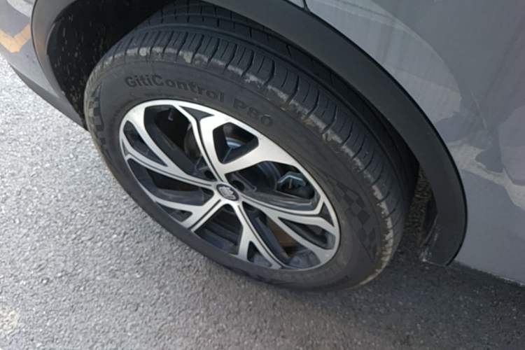 Used BYD Tang New Energy 2025 Intelligent Driving Version DM-i 115KM Flagship Edition Exterior 5