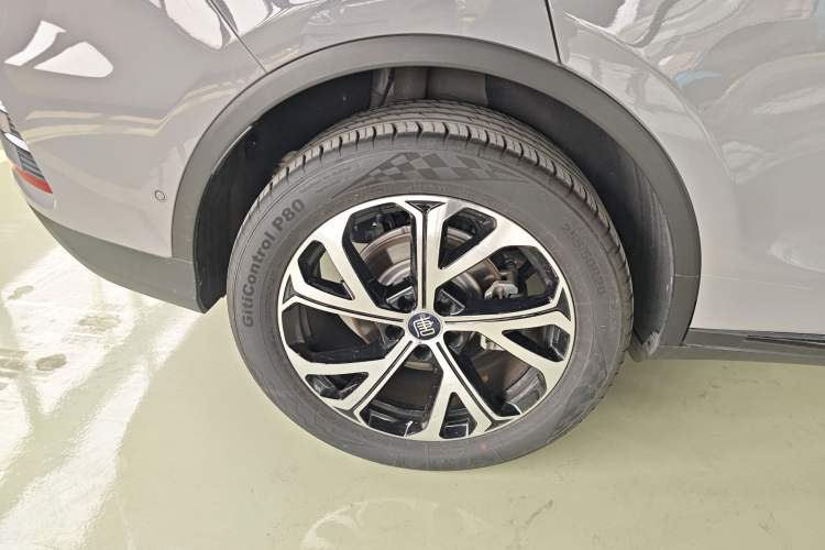 Used BYD Tang New Energy 2025 Intelligent Driving Version DM-i 115KM Flagship Edition Exterior 5