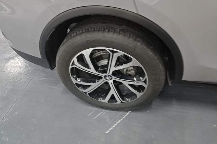 Used BYD Tang New Energy 2025 Intelligent Driving Version DM-i 115KM Flagship Edition Exterior 5
