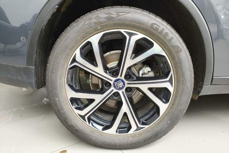 Used BYD Tang New Energy 2025 Intelligent Driving Version DM-i 115KM Flagship Edition Exterior 5