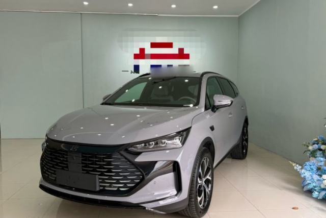Used BYD Tang New Energy 2025 DM-i 115KM Flagship Model