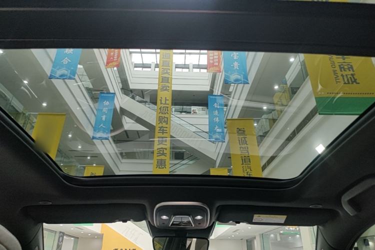 Used BYD Tang New Energy 2025 DM-i 115KM Prestige Model Headliner
