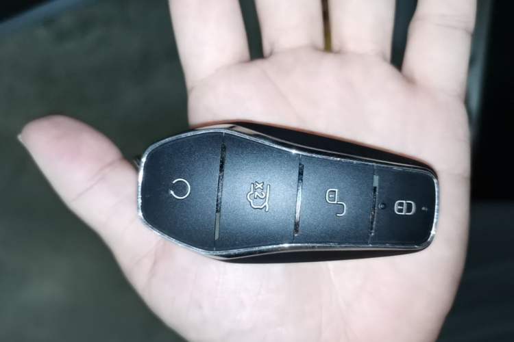 Used BYD Tang New Energy 2025 DM-i 115KM Prestige Model Interior 1