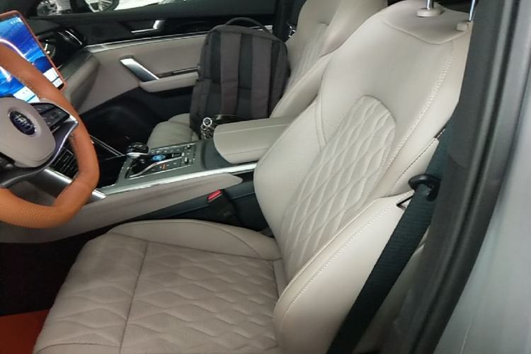 Used BYD Tang New Energy 2025 DM-i 115KM Prestige Model Left Front Seat
