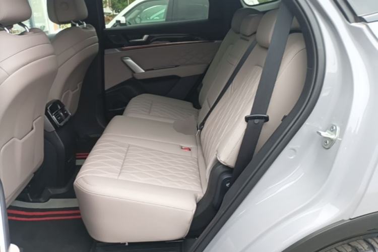 Used BYD Tang New Energy 2025 Intelligent Driving Version DM-i 115KM Flagship Edition Left Rear Seat