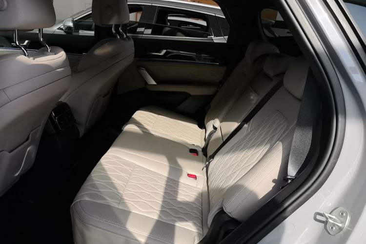 Used BYD Tang New Energy 2025 Intelligent Driving Version DM-i 115KM Flagship Edition Left Rear Seat
