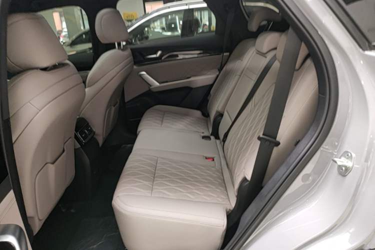 Used BYD Tang New Energy 2025 DM-i 115KM Prestige Model Left Rear Seat