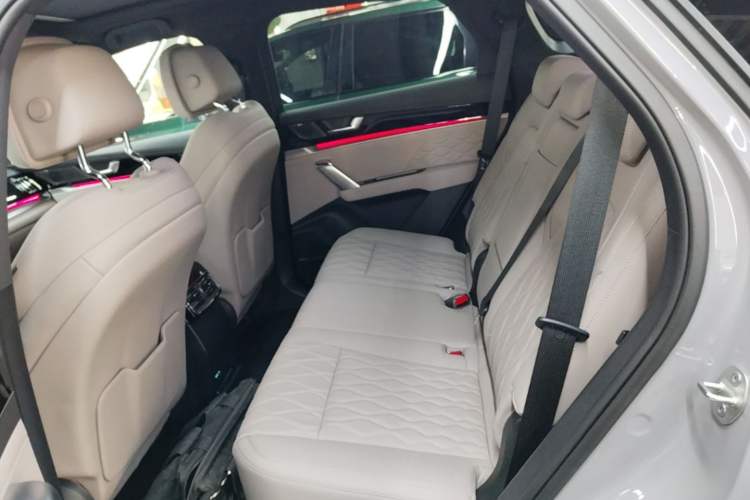 Used BYD Tang New Energy 2025 Intelligent Driving Version DM-i 115KM Flagship Edition Left Rear Seat