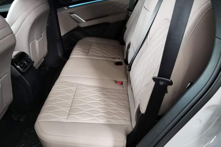 Used BYD Tang New Energy 2025 Intelligent Driving Version DM-i 115KM Flagship Edition Left Rear Seat