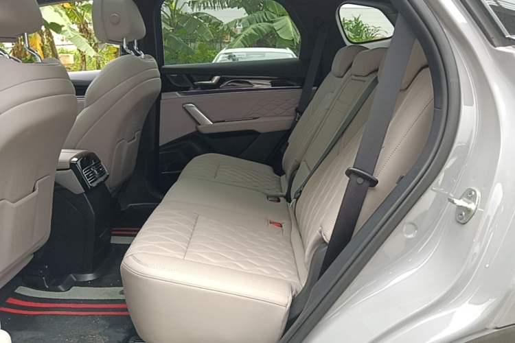 Used BYD Tang New Energy 2025 Intelligent Driving Version DM-i 115KM Flagship Edition Left Rear Seat