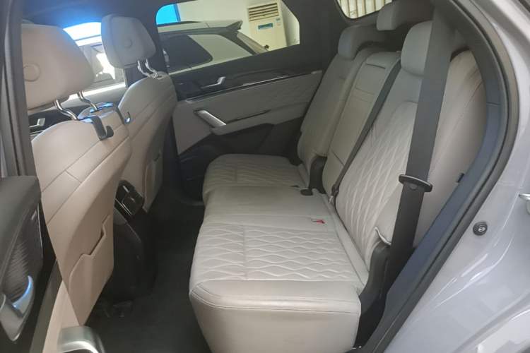 Used BYD Tang New Energy 2025 DM-i 115KM Cloud Ride Flagship Model Left Rear Seat