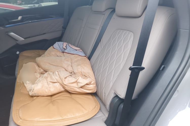 Used BYD Tang New Energy 2025 Intelligent Driving Version DM-i 115KM Flagship Edition Left Rear Seat