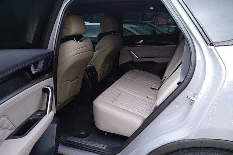 Used BYD Tang New Energy 2025 Intelligent Driving Version DM-i 115KM Flagship Edition Left Rear Seat