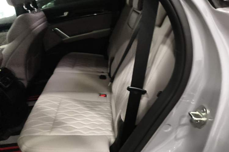 Used BYD Tang New Energy 2025 Intelligent Driving Version DM-i 115KM Flagship Edition Left Rear Seat