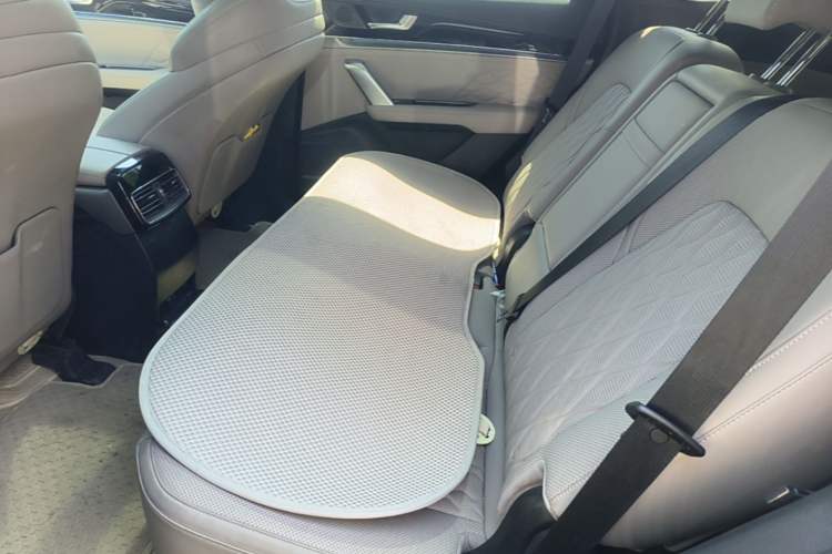 Used BYD Tang New Energy 2025 Intelligent Driving Version DM-i 115KM Prestige Edition Left Rear Seat