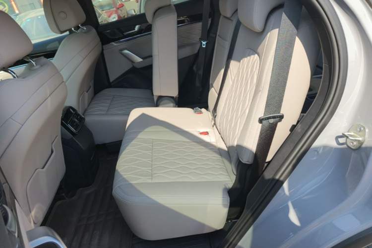 Used BYD Tang New Energy 2025 Intelligent Driving Version DM-i 115KM Flagship Edition Left Rear Seat