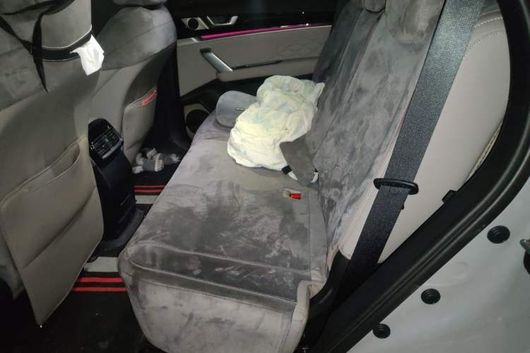 Used BYD Tang New Energy 2025 Intelligent Driving Version DM-i 115KM Prestige Edition Left Rear Seat