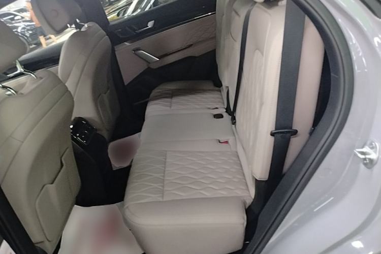 Used BYD Tang New Energy 2025 Intelligent Driving Version DM-i 115KM Flagship Edition Left Rear Seat