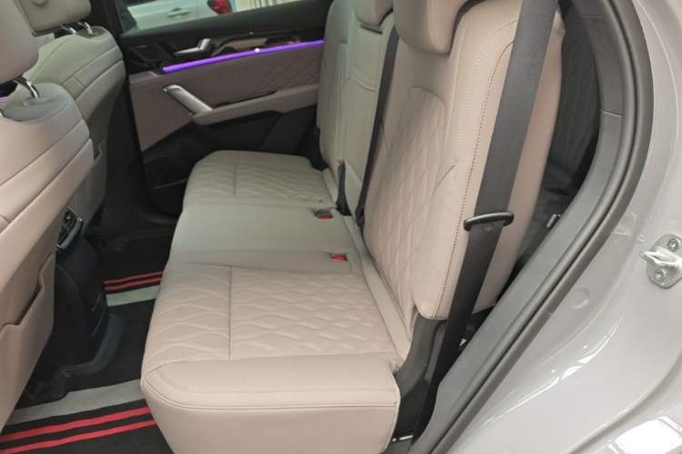 Used BYD Tang New Energy 2025 Intelligent Driving Version DM-i 115KM Flagship Edition Left Rear Seat