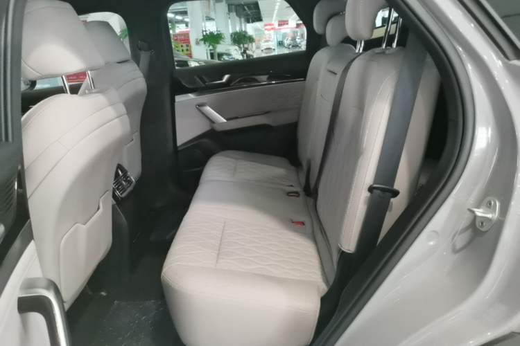 Used BYD Tang New Energy 2025 DM-i 115KM Prestige Model Left Rear Seat