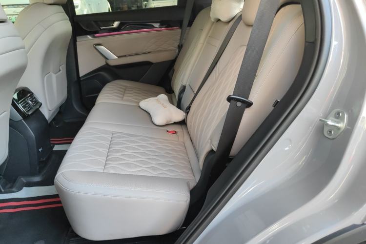 Used BYD Tang New Energy 2025 Intelligent Driving Version DM-i 115KM Prestige Edition Left Rear Seat