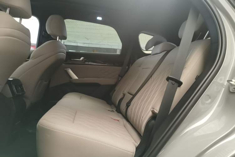 Used BYD Tang New Energy 2025 DM-i 115KM Prestige Model Left Rear Seat