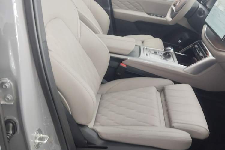 Used BYD Tang New Energy 2025 Intelligent Driving Version DM-i 115KM Flagship Edition Right Front Seat