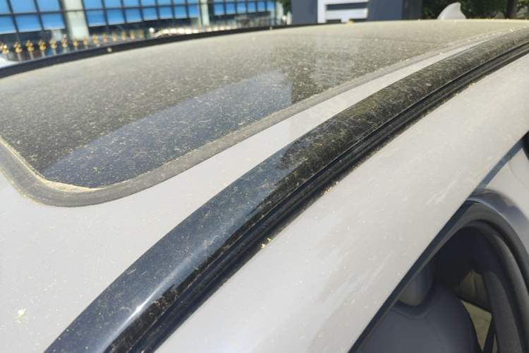Used BYD Tang New Energy 2025 DM-i 115KM Prestige Model Roof